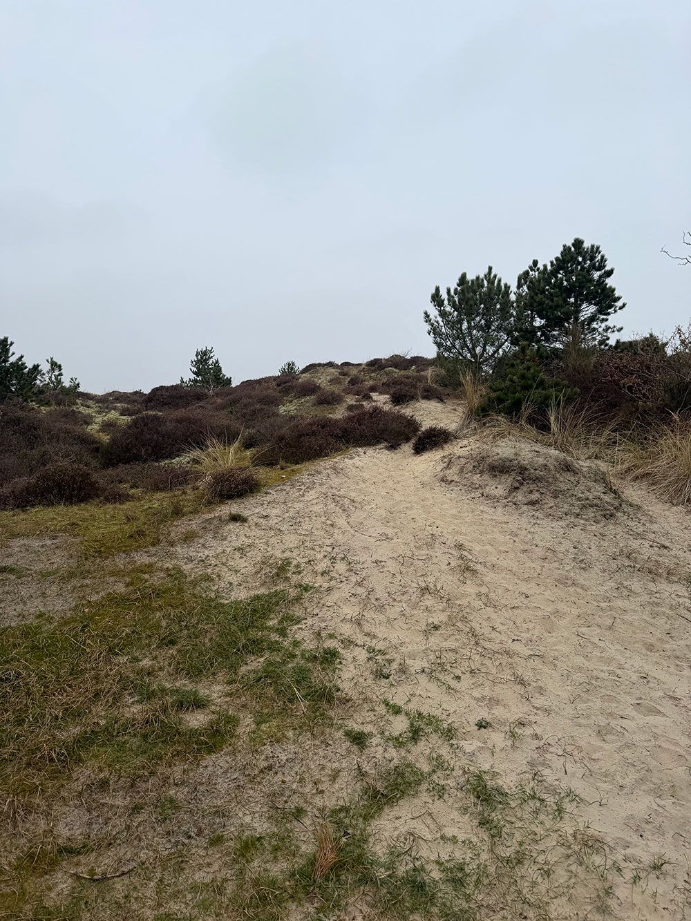 Een pad door de duinen van Terschelling