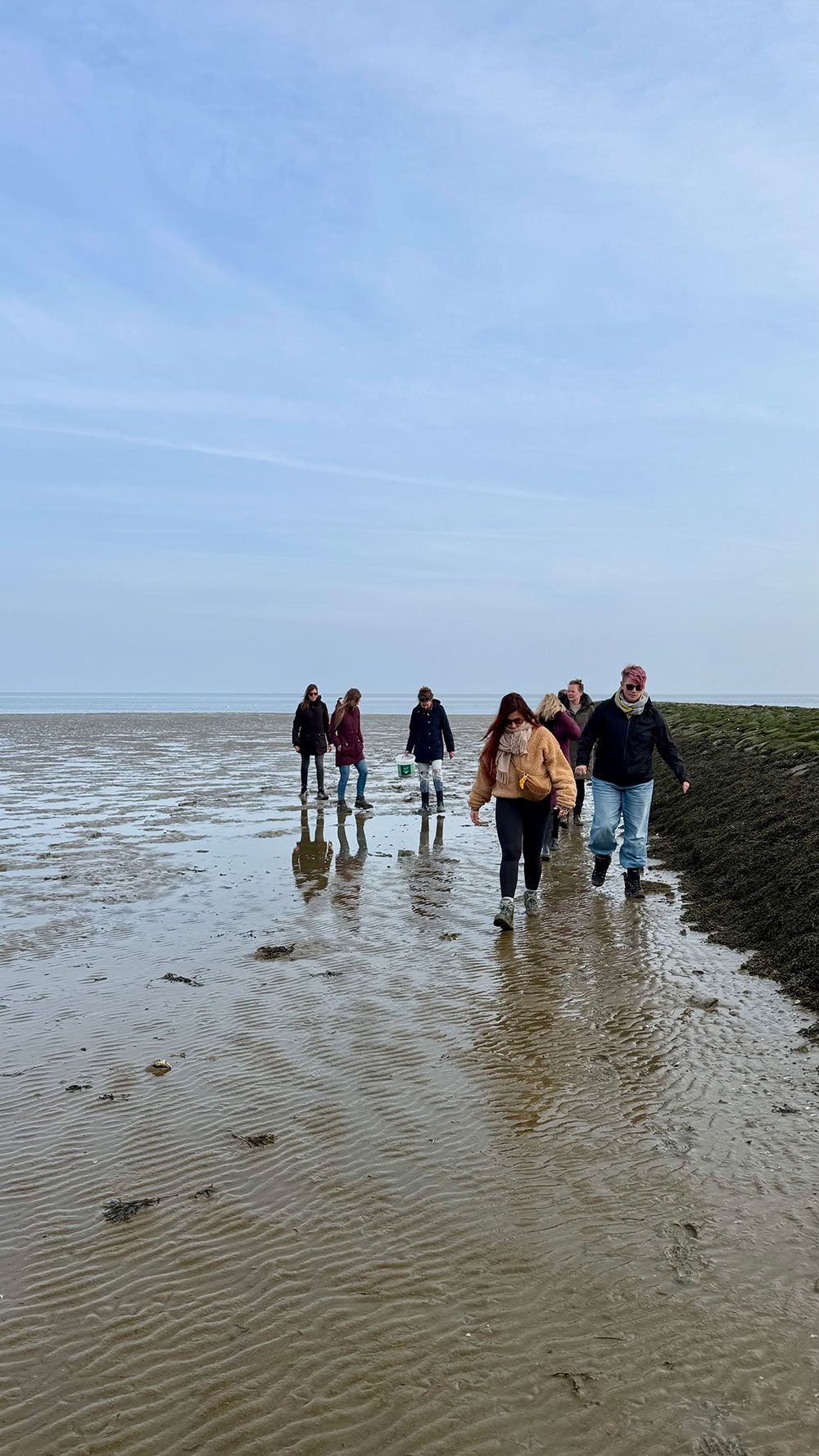 De groep loopt op het drooggevallen wad